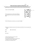 Name: DNA and Protein Synthesis Worksheet /14 Goal: The identity