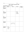 Plate Tectonics Unit Study Guide