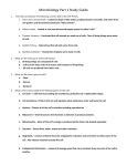 Microbiology Part 1 Study Guide Tell what contribution the following