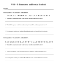 Translation Worksheet