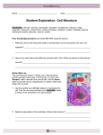 Student Exploration Sheet: Growing Plants