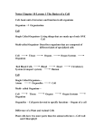 Notes Chapter 10 Lesson 1 The Basics of a Cell