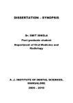 dissertation – synopsis