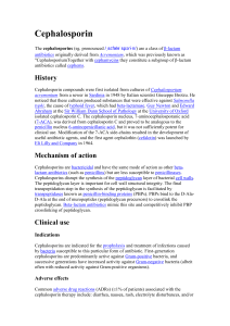 Cephalosporin