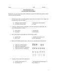 Chromosomal Abnormalities