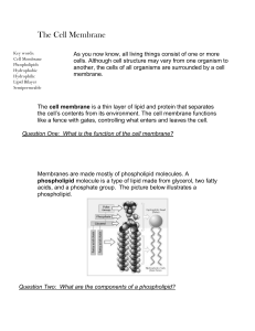 Scientific Method