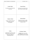 Science Vocabulary List 14-Human Body Test Date: 1/29/16 Cardiac