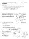 Modified Notes