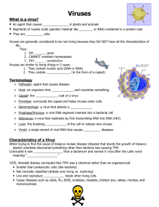 Viruses - mbhsbiology