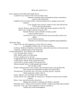 Brain and Cranial Nerves Complete