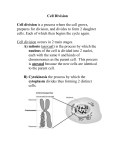 Cell Division - cloudfront.net