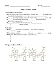 Modern Genetics Outline