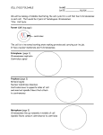 CELL CYCLE FOLDABLE