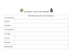 Chapter 3 Project: Cells and their Organelles