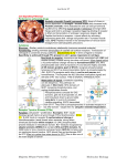 Cell Signalling Pathways