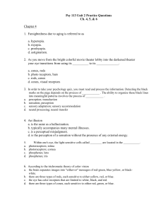 Unit 2 Practice questions