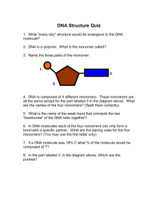 DNA Structure quick review/quiz
