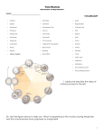 Test Review- cell division and reproduction