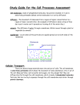 Study Guide for the LS