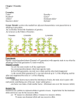 Chapter 3 Genetics