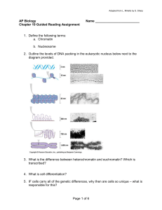 Chapter 19 - Biology Junction