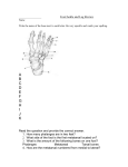 Foot/Ankle and Leg Review