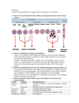 Pathology - U