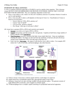 AP Biology Notes Outline Chapter 19: Viruses OVERVIEW OF