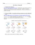 DNA History WebquestJ