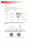 Polarization
