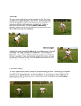 ACL Injury Prevention Program For The Competitive Female Athlete
