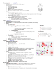 AP Macromolecule Notes 09