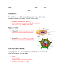 Cells - bollendorfscience