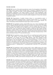 FIGURE LEGENDS FIGURE 38.1 Overview of the central