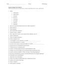 Genetics (Chapter 8) Test Review