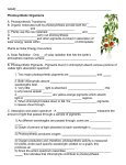 Other Pathways of Photosynthesis