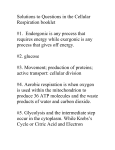 Solutions to Questions in the Cellular Respiration booklet