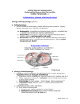 NOTES Mod #6 Inflammatory