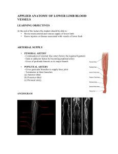 applied anatomy of lower limb blood vessels