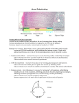 Adrenal Pathophysiology