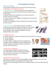 15-3 Evolution in Process Evidence of evolution: Living organisms