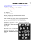 Competition Profiles