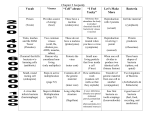 Chapter 2 Jeopardy