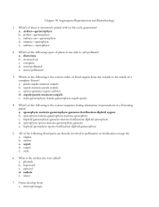 Chapter 38 Angiosperm Reproduction and Biotechnology 1. Which