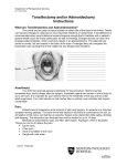 Print Discharge Instructions (Word doc)