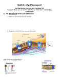 Unit 4 Cell Transport Notes Packet - Dallastown Area School District