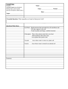 Organelle Notes #2