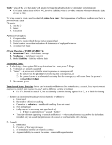 Manaster Torts Outline