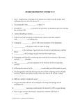 test ch 13 respiratory system