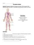 Cardiovascular system review sheet